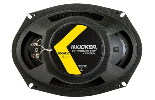 DSC6930 - DS Series 6x9" 3-Way